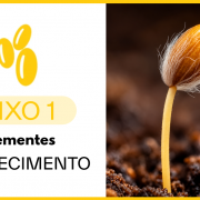 O plantio das sementes está relacionado à ideia de gerar conhecimento